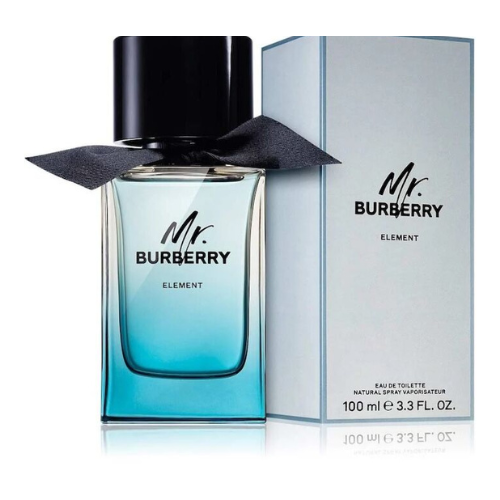 Burberry Mr Burberry Element EDT 100ml